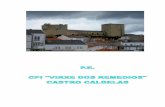 INTRODUCIÓN: CARACTERÍSTICAS DO CENTRO (2… · A comarca de Terra de Caldelas agrupa catro concellos con unha superficie de 313,25 Km² e ten unha poboación de 4.203 habitantes.