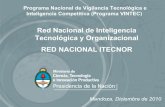 Red Nacional de Inteligencia Tecnológica y Organizacional ...€¦ · Programa Nacional de Vigilancia Tecnológica e Inteligencia Competitiva (Programa VINTEC) Programa Nacional