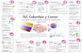 TLC Colombia y Corea · tiene el acceso que tendrá Colombia con el TLC. Colombia logrará acceso preferencial sobre aranceles desde 36% hasta 176%, en productos como quesos, arequipe,
