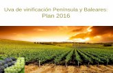 Uva de vinificación Península y Baleares: Plan 2016 · 2016-12-20 · MODULO 2B.- Seguro base + garantía adicional 1, 2 y 4 / Módulo C2B Condiciones de coberturas (2) Según Tipo