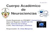 CA Neurociencias 2011cmas.siu.buap.mx/portal_pprd/work/sites/Vicerrectoria_docencia/... · Neurofisiología de la Conducta y Control Motor Neurobiología Neurofisiología Integrativa