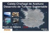 Caleta Chañaral de Aceituno - Mundo Azulmundoazul.org/descargas/evento_cetaceos/dia2/a... · Chañaral". Consistiendo en la zona de mar de una milla náutica (1852 metros) en torno