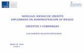 MODULO: RIESGO DE CREDITO DIPLOMADO EN ADMINISTRACION DE RIESGO CREDITOS Y COBRANZASclases.unegocios.cl/.../clase-1-riesgo-de-credito-dar.pdf · 2016-05-24 · PRINCIPIOS FUNDAMENTALES