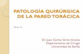 TEMA 10 - Universidad de Sevillapersonal.us.es/jcgiron/Docencia_Cirugia_Torax_Hospital... · 2015-10-06 · MALFORMACIONES,CONGÉNITAS, I. CARTILAGINOSAS * I. P. Excacvatum II. P