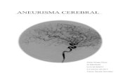 Aneurisma Cerebral - WordPress.com · Aneurisma Cerebral 3 de diciembre de 2017 8 Quan un aneurisma cerebral es trenca pot produir una hemorràgia subaracnoidal (HSA). Aquesta és