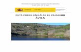 Ruta por el embalse El Pajarero ÁVILA...La ruta propuesta se desarrolla en el embalse de el Pajarero, situado en una zona con alto valor ambiental, ornitológico y de flora típica