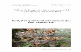 Calidad del bosque de ribera en la cuenca del río Utcubamba, … · 2019-02-25 · 25 2 Mayo - Agosto, 2018 655 Gamarra et al Calidad del bosque de ribera en la cuenca del río Utcubamba,