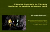 El karst de la montaña de Chirimoto (Rodríguez de Mendoza ... · El karst de la montaña de Chirimoto (Rodríguez de Mendoza, Amazonas, Perú) 2do simposio internacional del karst