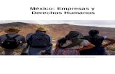 México: Empresas y Derechos Humanos...derechos humanos a favor de los intereses empresariales. La captura corporativa se La captura corporativa se manifiesta también en los diferentes