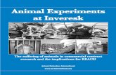 Animal Experiments at Inveresk - NAVS · 2020-05-29 · Animal Experiments at Inveresk 4 Animal Experiments at Inveresk. March 2005. Project 571898: dogs force-fed experimental psoriasis