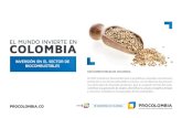 INVERSIÓN EN EL SECTOR DE BIOCOMBUSTIBLES · 2016-03-22 · INVERSIÓN EN EL SECTOR DE BIOCOMBUSTIBLES BIOCOMBUSTIBLES EN COLOMBIA En 2005 el Gobierno Nacional dio inicio a las políticas