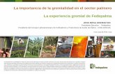Presentación de PowerPoint - JUNPALMA Perújunpalmaperu.org/congreso-nacional-de-productores-de... · 2018-05-08 · Los aceites de palma y de palmiste lideran la producción mundial