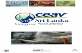Antigua Ceylan, “La Lagrima de la India”, una isla ...ceav.info/actividades/congresos/2018/pdf/Avance... · La mejor época para aumentar las posibilidades de cruzarse con una