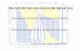 INSTITUTO TECNOLÓGICO DE MEXICALI · 2019-02-02 · SERVICIO SOCIAL EN ITM (INTERNO) Y/O DIFERENTES ESCUELAS (EXTERNO) 100% 480 HRS. Rep. no. 1 07 ENERO 2019 al 07 MARZO 2019 160/160