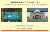 ITINERARI DE NATURA - Xarxa Parcs Naturals · 2013-09-16 · ITINERARI DE NATURA TORRENT DE LES BRUIXES – LA TORRIBERA Joan Devis Ortega Centre d'Estudis de la Natura del Barcelonès