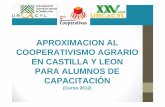 APROXIMACION AL COOPERATIVISMO AGRARIO …cifpvinalta.centros.educa.jcyl.es/sitio/upload/...primer grado y 11 de segundo), una cuarta parte son de Castilla y León. -De las 14 cooperativas