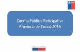 Cuenta Pública Participativa Provincia de Curicó 2015 · 2016-04-21 · Ciudad, vivienda y territorio. Durante 2015, Serviu entregó en la provincia de Curicó: Tipo de subsidios