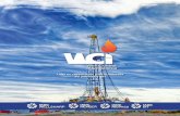 Líder en capacitación para la industria del petróleo y gas · México Venezuela Colombia Ecuador Perú Bolivia Brasil Chile Argentina Europa Emiratos Árabes. Nuestros cursos Nuestros
