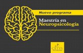¿Qué es la Neuropsicología? - CETYS Universidad · ¿Qué es la Neuropsicología? • Ciencia aplicada que estudia la relación existente entre las expresiones conductuales, la