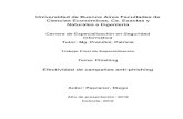 Universidad de Buenos Aires Facultades de Ciencias ...bibliotecadigital.econ.uba.ar/download/tpos/1502-1215_PascanerD.pdf · Facultades de Ciencias Económicas, Cs. Exactas y Naturales