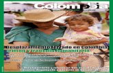 Desplazamiento forzado en Colombia crimen y …...3«El desplazamiento interno en Colombia: una tragedia humanitaria», Soraya Gutiérrez (CCAJAR), Ponencia en el 36 2 Entre el 15