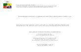 UNIVERSIDAD DE CHILE FACULTAD DE CIENCIAS FÍSICAS Y ...mbe.cl/wp-content/uploads/2013/06/tesis-Rolando-Rivera.pdf1.1 ANTECEDENTES DE LA EMPRESA La fabricación de Pulpa y Papel es