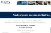 Arquitectura del Mercado de Capitalesanif.co/sites/default/files/uploads/Roberto Borrás - AMV_0.pdf · sus fortalezas en la coyuntura reciente. • Autorregulación para los distintos