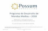 Programa de Desarrollo de Mandos Medios 2018 - COCEMIcocemi.com.uy/docs/Mandos_medios08_03.pdf · Mandos Medios –2018 MODULO 3 –Liderazgo Emocional Un nuevo abordaje de Gestión