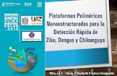 Plataformas Poliméricas Nanoestructuradas para la …• Ingeniera Química - Universidad Autónoma de Zacatecas (UAZ, 2005-2009) México. • Doctora en Ciencia de los Materiales
