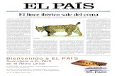 DICIEMBRE 2007 El lince ibérico sale del coma · 2014-01-17 · El lince ibérico es una especie nativa de España y Portugal. Es simi-lar en aspecto a su pariente el lince euroasiático,