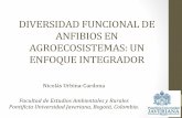 DIVERSIDADFUNCIONALDE( ANFIBIOSEN …web.fedepalma.org/sites/default/files/files/... · DIVERSIDADFUNCIONALDE(ANFIBIOSEN AGROECOSISTEMAS:UN ENFOQUEINTEGRADOR (Nicolás(UrbinaCardona(!