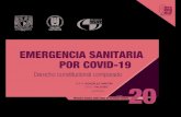 EMERGENCIA SANITARIA POR - archivos.juridicas.unam.mx · de Salud en Situaciones Sanitarias Excepcionales (ORSAN). Desde su activación, el marco jurídico de la gestión de la crisis