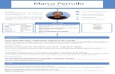 Marco Perrullo - mp-programming.com · Desarrollo de una plataforma online desde cero para una academia utilizando lenguajes de programación como PHP y Javascript y donde también