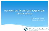 Función de la aurícula izquierda: Visión clínica · Función de la aurícula izquierda: Visión clínica. Dra Ainhoa Torrens. Hospital de Barcelona . Resultados PubMed función