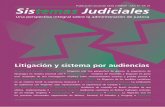 Litigación y sistema por audiencias · Publicación anual de CEJA e INECIP • Año 17 • Nº 21 Litigación y sistema por audiencias Ileana del Rosario Pérez López Litigación
