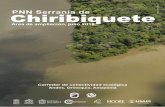 hiribiquete - FCDS Conservación y Desarrollofcds.org.co/site/wp-content/uploads/2018/07/hoja_inform...concentró el 65 % de la deforestación del país, en el 2017. Allí, la perdida
