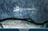 Presentación de PowerPoint - Camanchaca€¦ · Observábamos en pleno desarrollo el más agresivo fenómeno de El Niño con fuerte impacto en capturas de anchoveta en el norte y