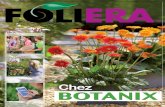 Plantes et fleurs Foliera chez Botanix · 2020-06-17 · Vos clients ont besoin d’inspiration! Solanum rantonnetii* *Le produit peut différer de la photo. 11 Beautés fleuries