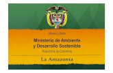 Presentacion Vice - OTCA (modificaciones Juli2) · La Amazonía Áreas Estratégicas Mineras Área: 2.9 millones de Ha. 313 bloques 2.5% del territorio nacional Resolución 180241