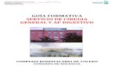 CIRUGIA GENERAL 2017 - Castilla-La Mancha · GENERAL Y AP DIGESTIVO COMPLEJO HOSPITALARIO DE TOLEDO COMISIÓN DE DOCENCIA Teléfono 925269200 ext: 48560 ... 3.2.5.3. Resección sigmoidea
