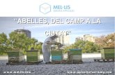 - Introducció - Què és i què pot aportar l’apicultura urbana - …xarxaenxarxa.diba.cat/sites/xarxaenxarxa.diba.cat/files/... · 2017-10-19 · abelles parisenques en la seva