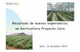 Resultado de nuevas experiencias en horticultura Proyecto Cero · Lugar: Fundación Ruralcaja (Paiporta ) Parcela Proyecto Cero: 0,1 ha Parcela Ecológica: 0,1 ha Plantación: 29
