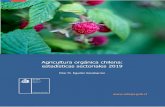 Agricultura orgánica chilena: estadísticas sectoriales 2019 · Actualizaciones de estadísticas sectoriales nacionales Los datos oficiales del sector son obtenidos a partir del
