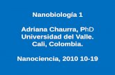 Nanobiología 1 Adriana Chaurra, PhD€¦ · Nanobiología 1 Adriana Chaurra, PhD Universidad del Valle. Cali, Colombia. Nanociencia, 2010 10-19