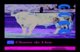 Charro de Llen - cetnotorolidia.es › ... › Charro_de_Llen_Web.pdfCharro de Llen, comprando un lote de vacas y sementales de la ganadería de D. Atanasio Fernández, eliminando