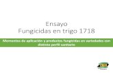Ensayo Fungicidas en trigo 1718 - Crea Sur de Santa Fe€¦ · Ensayo Fungicidas en trigo 1718 Momentos de aplicación y productos fungicidas en variedades con distinto perfil sanitario