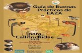 Guía de buenas prácticas de EAZA para Callitrichidae · 4 Traducción al español Zordan (ALPZA) Traducido por Matías Pérez Crespo, en representación de ALPZA (Asociación Latinoamericana