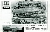 EL FERROCARRIL DEL RIGI CUMPLE CIEN AÑOS · línea de montaña de Vitznau al monte Rigi, que el pasado 21 de mayo cumplió el pri-mer centenario de su existencia. Este ferrocarril