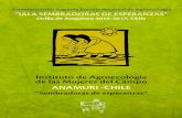 Orilla de Auquinco 2016-2017, Chile IALA - Chile...B. Seminario Internacional 52 C. Rondas de diálogo 58 6.2.1. ... Celebramos una vez más la cristalización de un sueño, de nuestro