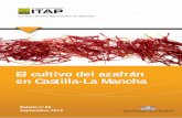 El cultivo del azafrán en Castilla-La Mancha€¦ · • La programación de riegos no coincide con la de ningún cul-tivo, con lo cual no se puede sincronizar coo para este cul-tivo.